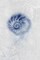 Ocean Memories 2 Poster Print by Louis Duncan-He - Item # VARPDXD987D
